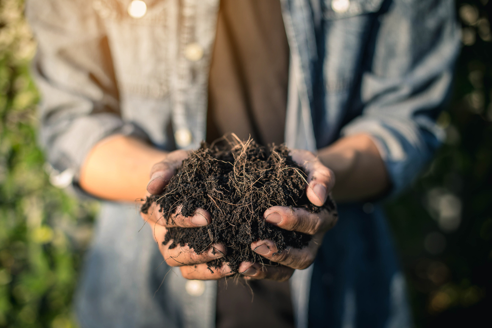 Composter : un geste en faveur de la planète - Travel Blog