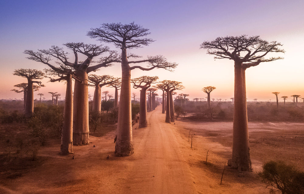 Madagascar et ses ressources touristiques incomparables
