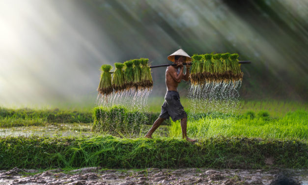 Les lieux à ne pas rater dans le Nord du Vietnam