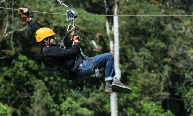 Bungy Jump ou saut élastique : une activité sensationnelle pour vos prochaines vacances
