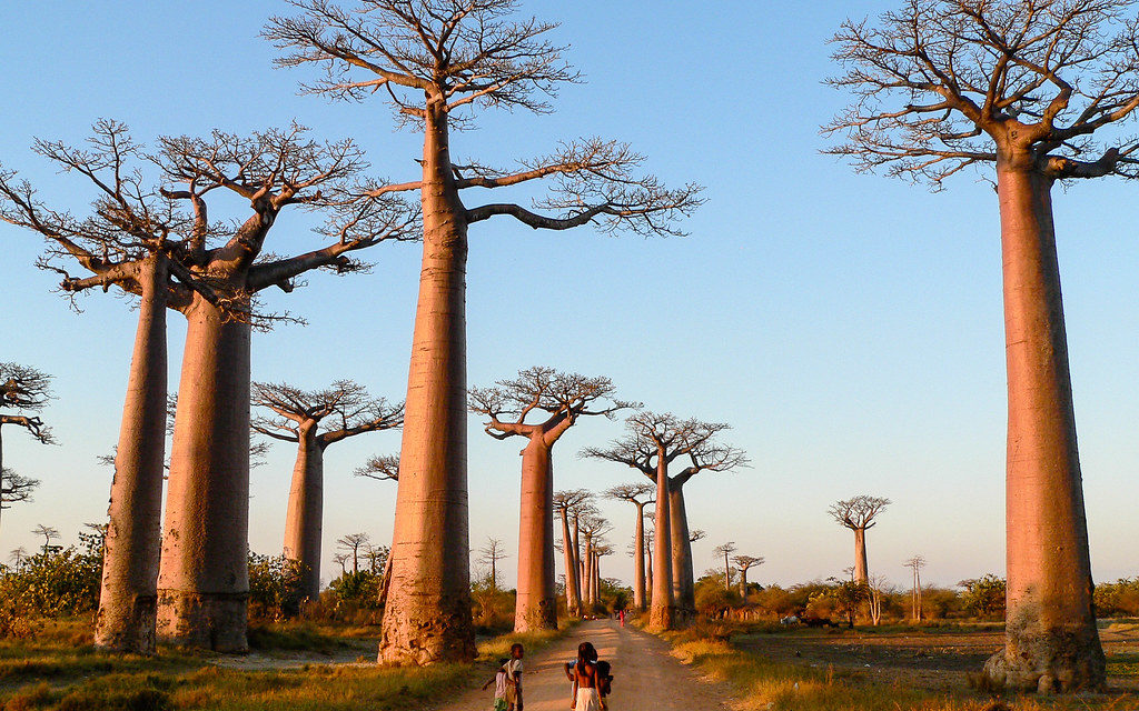 Un séjour de découvertes à Madagascar