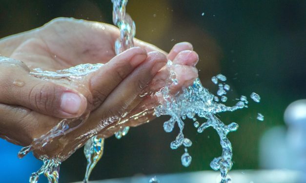 LaVie : pour améliorer la qualité de son eau au quotidien