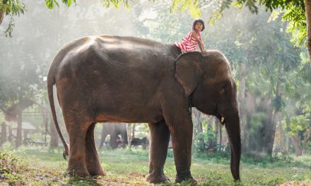 Laos, une merveille pour une famille