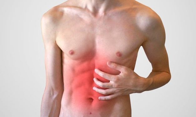 Quelles sont les sortes des TMS ?