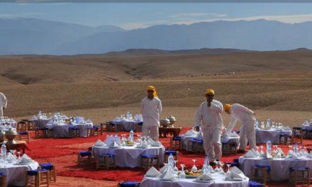 Qui contacter pour organiser des Teams building, des activités Outdoor et des événements professionnels au Maroc ?