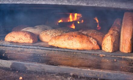 Bien dimensionner son matériel de boulangerie : four à soles, pétrin, chambre de pousse et présentoir à pain en Savoie