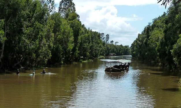 Quels types d’embarcations circulent sur le canal des Pangalanes