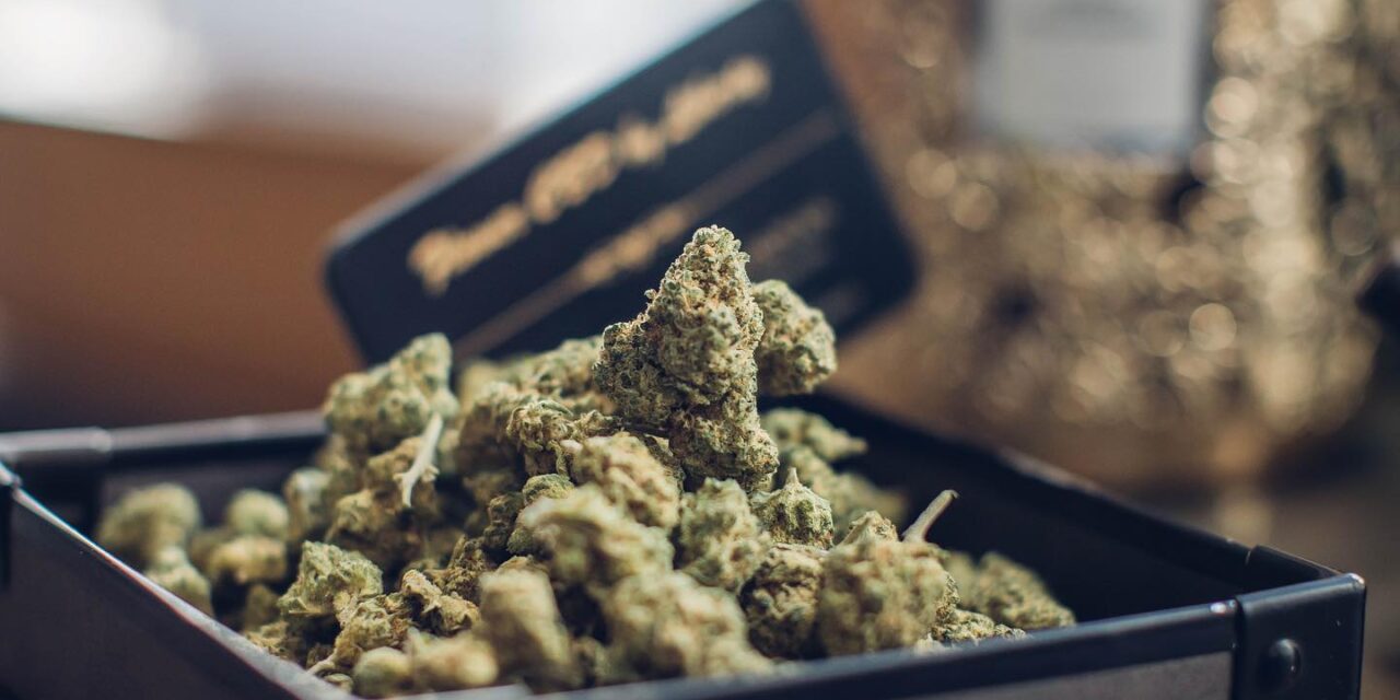 Pourquoi le CBD Rochefort séduit-il de plus en plus d&rsquo;habitants de Charente-Maritime ?