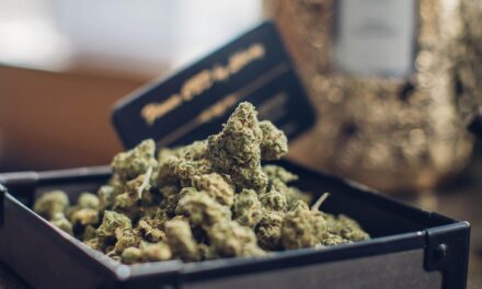 Pourquoi le CBD Rochefort séduit-il de plus en plus d&rsquo;habitants de Charente-Maritime ?