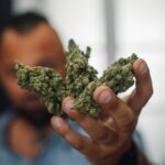 Comment dénicher les meilleurs produits CBD Saintes pour optimiser votre relaxation naturellement ?