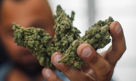 Comment dénicher les meilleurs produits CBD Saintes pour optimiser votre relaxation naturellement ?