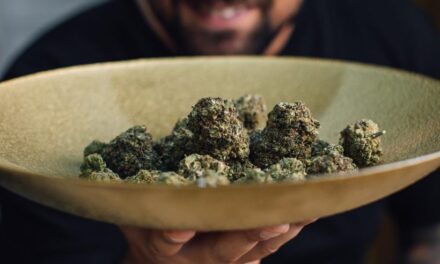 CBD La Rochelle : comment choisir des produits de qualité en toute confiance ?