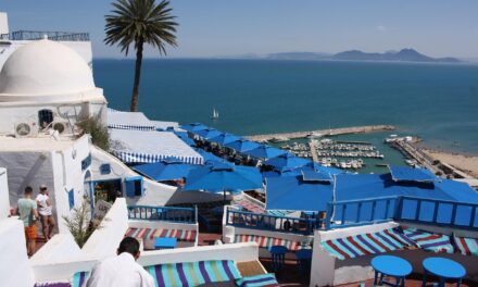Sidi Bou Saïd : préparer un séjour entre authenticité et raffinement
