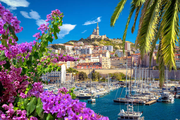 Séjour à Cannes : comment organiser des vacances inoubliables ?