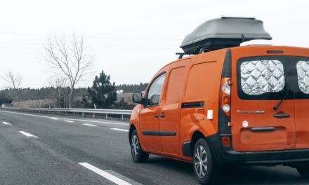 Des familles rurales séduites par la camionnette d’occasion