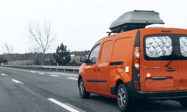 Des familles rurales séduites par la camionnette d’occasion