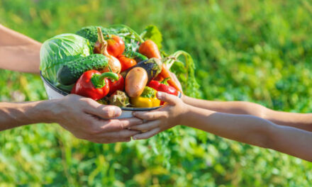 Alimentation durable : concilier santé et respect de l&rsquo;environnement