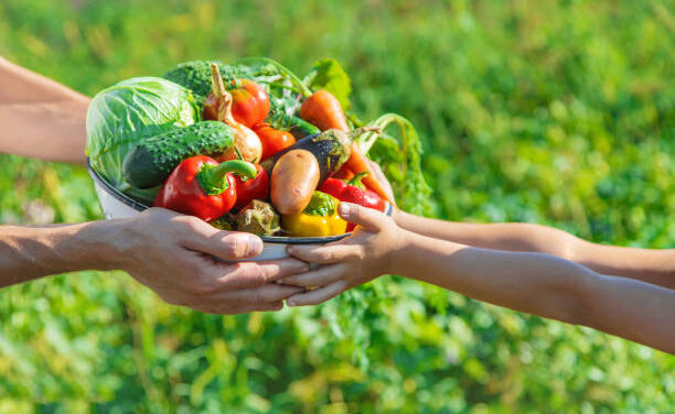 Alimentation durable : concilier santé et respect de l&rsquo;environnement
