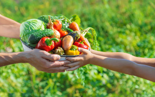 Alimentation durable : concilier santé et respect de l&rsquo;environnement